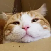 大介
