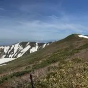 みみの画像