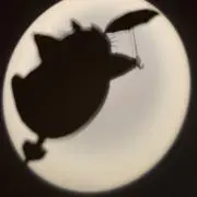 mizu☁︎の画像