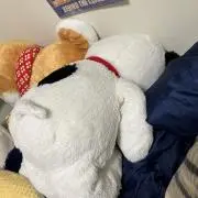 ごんザレスの画像