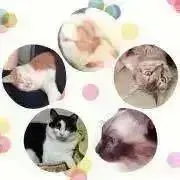 ⭐︎そめたん⭐︎