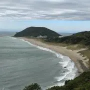 ukuleleの画像