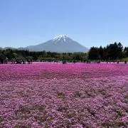myuuの画像