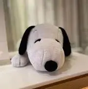 かなたんの画像