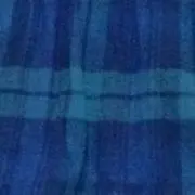 ふさふさの画像