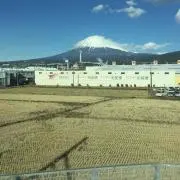 イッチー