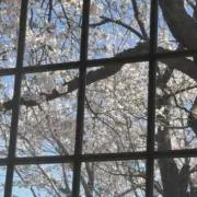 プロフィール確認くださいませの画像