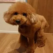 nao.の画像