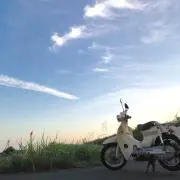 カブゥちゃん☆