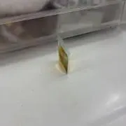 そうじの画像