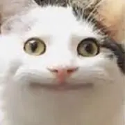 ばみゅ星人 プロフ必読の画像
