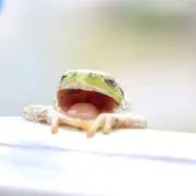 あくあ@プロフ一読推奨