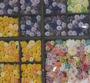 ちゃその画像