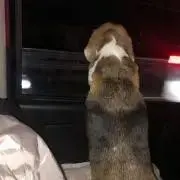 ぴーす