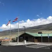 mstの画像
