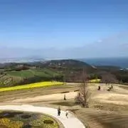 mの画像