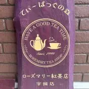 てぃーばっぐの森の画像