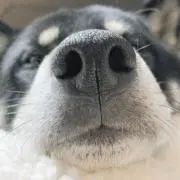 文太の画像