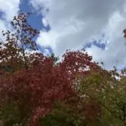 セレクト古着の画像