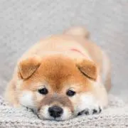 アイ