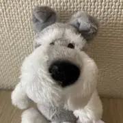 hiyohiyoの画像