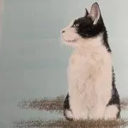 ニャードルオークションの画像
