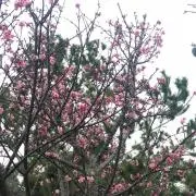 ★★★