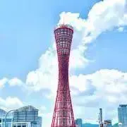 ydojoの画像