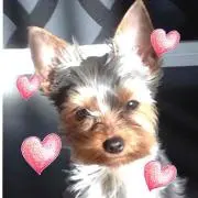 チャ〜ちゃん