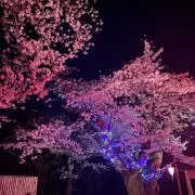 ⭐︎の画像