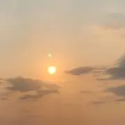 タイガー