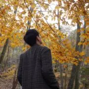 なかの画像
