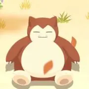Rの画像