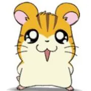 Runaの画像