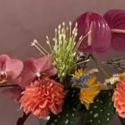 mmm__の画像