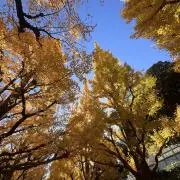 mmの画像