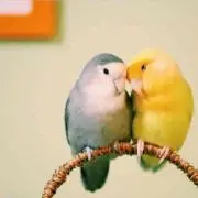 にこ【値下げ交渉、まとめ買い歓迎！】の画像