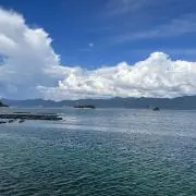 takaの画像