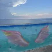 くるみの画像