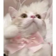 mmmの画像