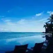 chamaの画像