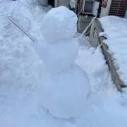 じゃがぽっくるの画像