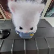 らららの画像