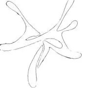 uy spiderの画像