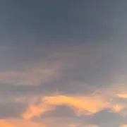 アップルの画像