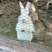 John【土日発送致します】の画像