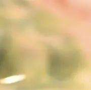 みーの画像