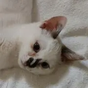 にょろん