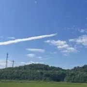 みーちゃんの画像