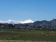 NOMADの画像